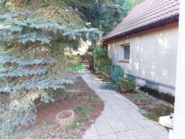 Działka inwestycyjna Dyszobaba. Zdjęcie 5
