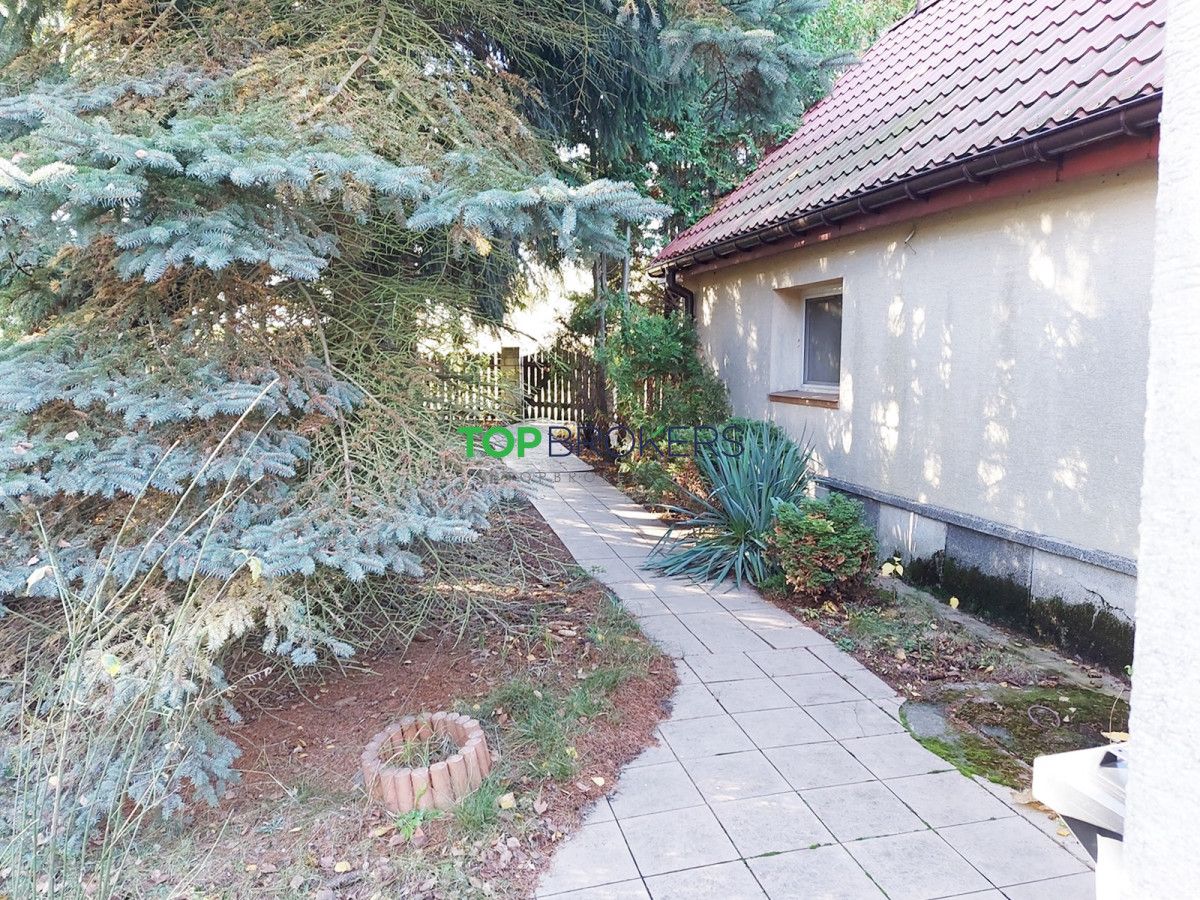 Działka inwestycyjna Dyszobaba. Zdjęcie 5