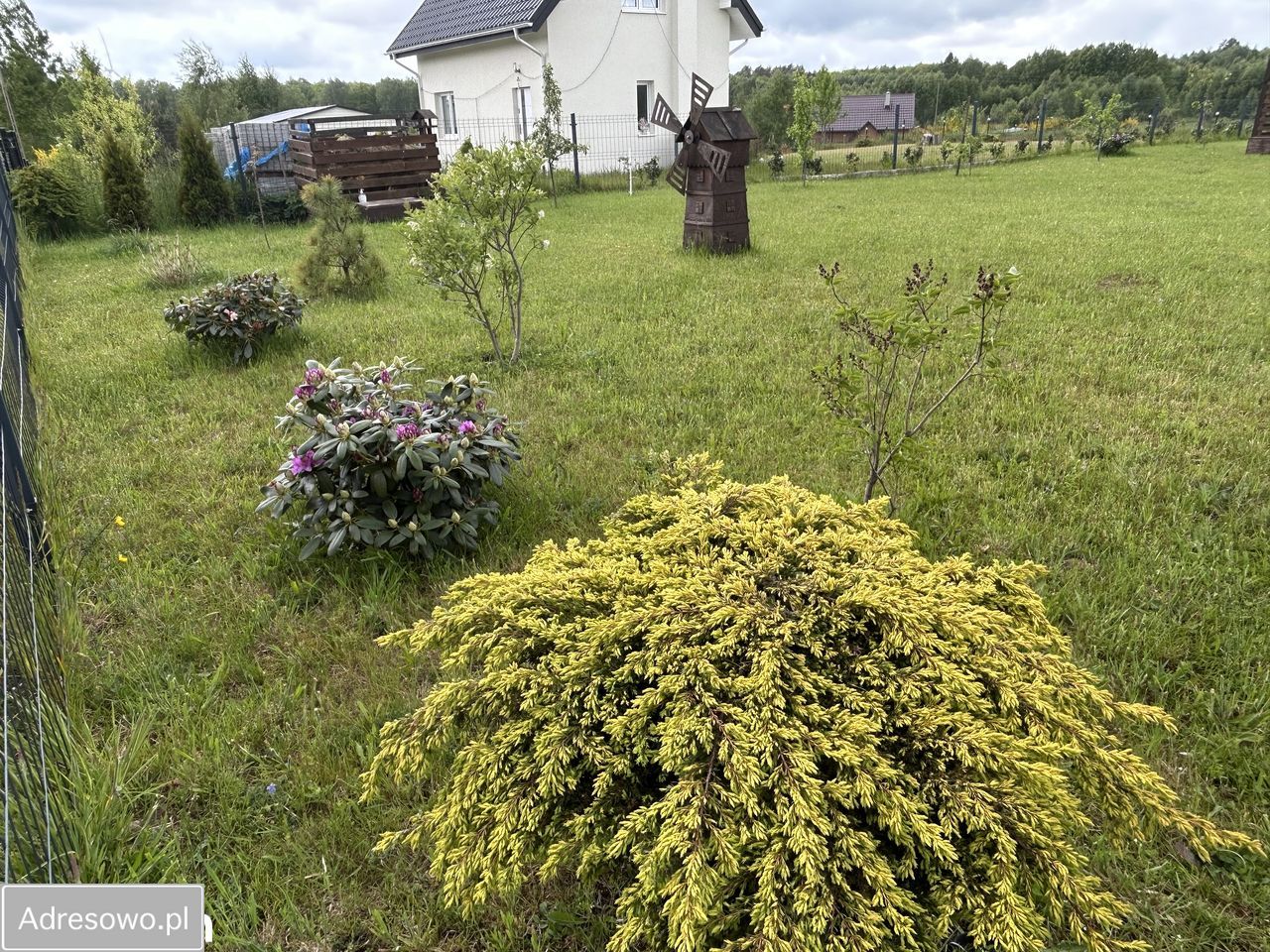 Działka budowlana Salino, ul. Lipowa. Zdjęcie 8