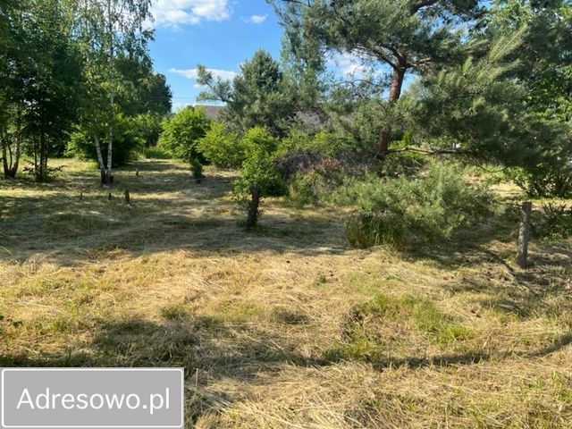 Działka budowlana Sosnowiec Ostrowy Górnicze, ul. Leśna. Zdjęcie 1