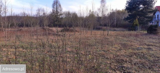 Działka rolno-budowlana Helenka. Zdjęcie 1