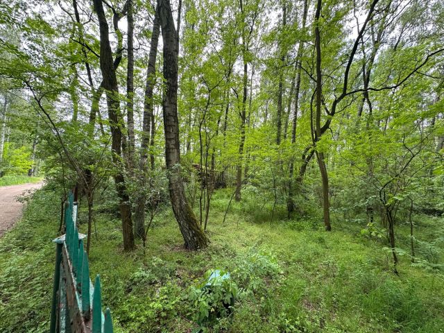 Działka budowlana Sokolniki-Las, ul. Piaski Wróblewskie. Zdjęcie 1