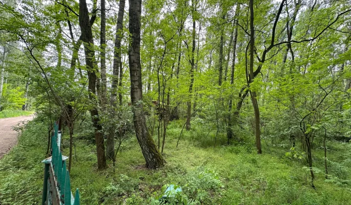 Działka budowlana Sokolniki-Las, ul. Piaski Wróblewskie