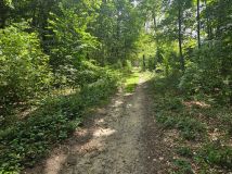 Działka budowlana Krosino, Krosino. Zdjęcie 3