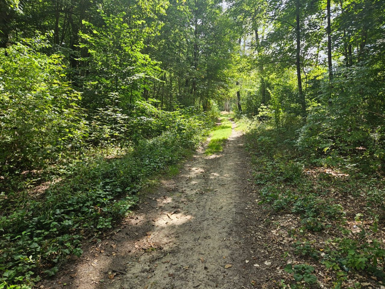 Działka budowlana Krosino, Krosino. Zdjęcie 4