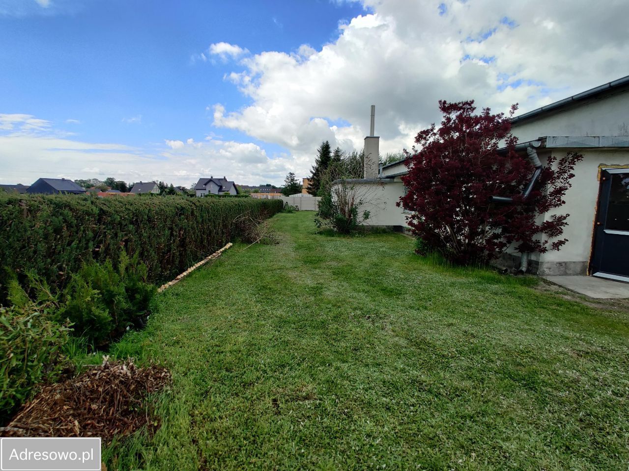 Hala/magazyn Miłoszyce, ul. Czereśniowa. Zdjęcie 20