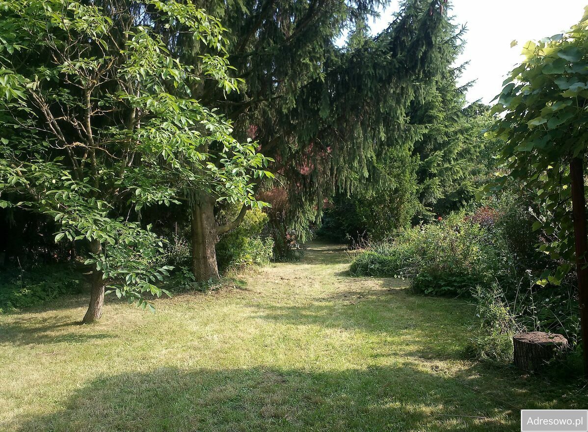 Działka siedliskowa Wolica. Zdjęcie 6