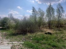 Działka rolna Radom Żakowice, ul. Wjazdowa. Zdjęcie 4