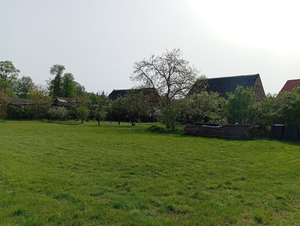 dom wolnostojący Dąbroszyn. Zdjęcie 8