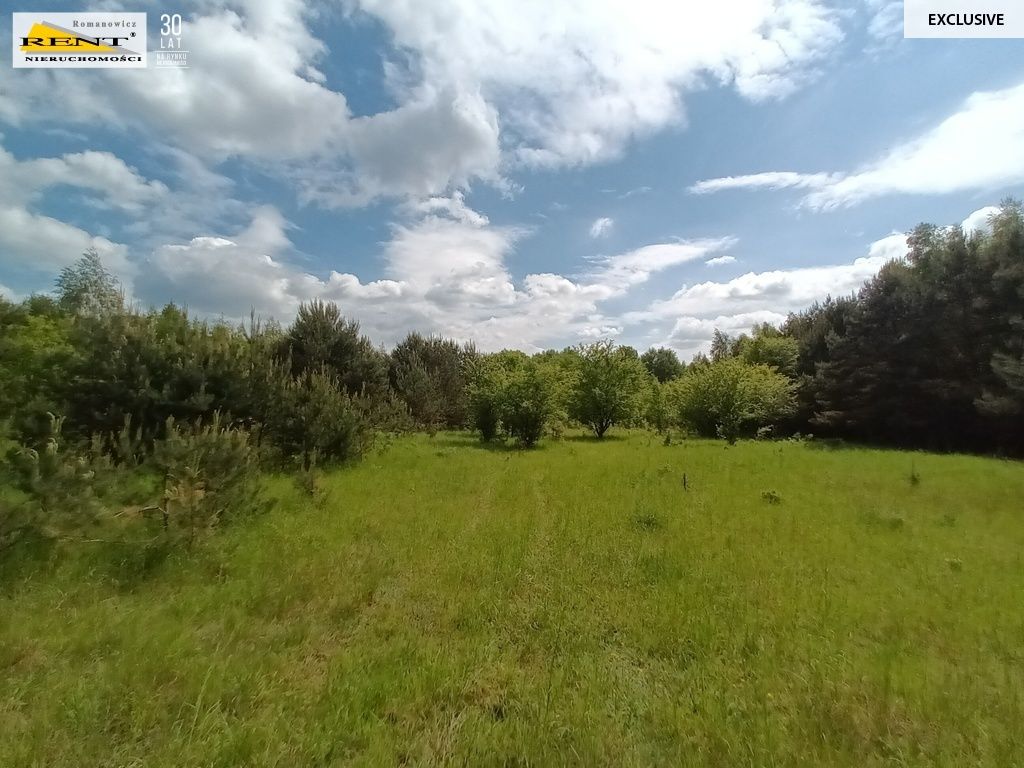 Działka rolna Binowo. Zdjęcie 7