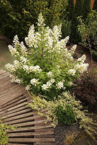 dom wolnostojący, 5 pokoi Promnice, ul. Brzozowa. Zdjęcie 10