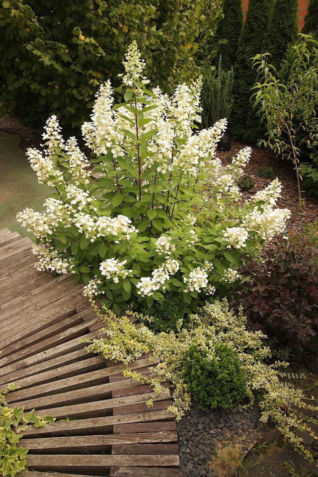 dom wolnostojący, 5 pokoi Promnice, ul. Brzozowa. Zdjęcie 10