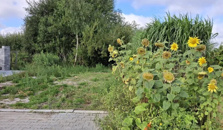 Działka budowlana Mierzyn, ul. Orfeusza