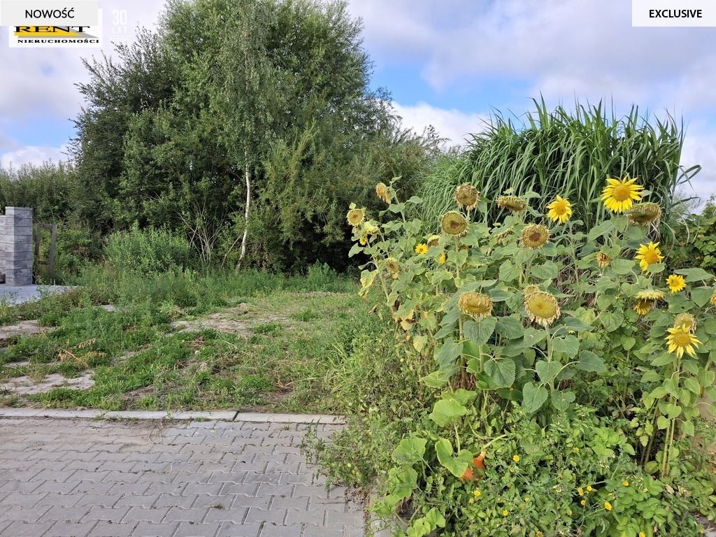 Działka budowlana Mierzyn, ul. Orfeusza