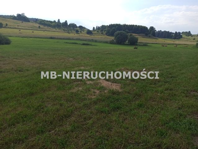 Działka rolna Różnowo. Zdjęcie 6