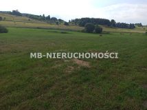 Działka rolna Różnowo. Zdjęcie 4