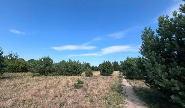 Działka budowlana Lipków, ul. Ignacego Mościckiego