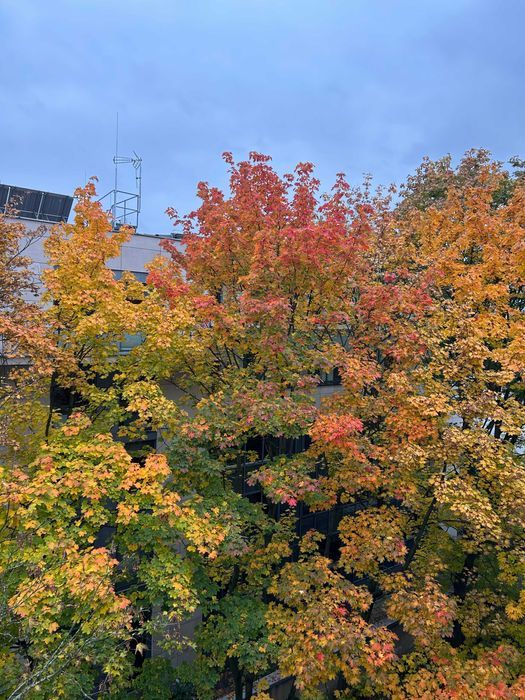 Mieszkanie 2-pokojowe Kraków Grzegórzki, ul. Rakowicka. Zdjęcie 5
