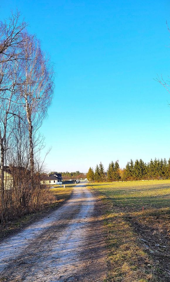 Działka budowlana Płoskie. Zdjęcie 2