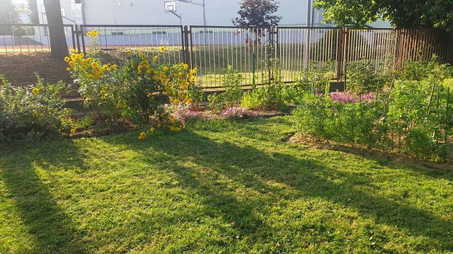 Działka rod Warszawa Marymont, ul. Klaudyny. Zdjęcie 21