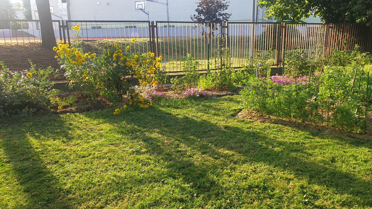 Działka rod Warszawa Marymont, ul. Klaudyny. Zdjęcie 21