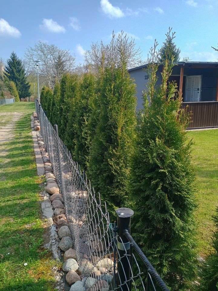 Działka rod Płock Winiary, ul. Medyczna. Zdjęcie 7