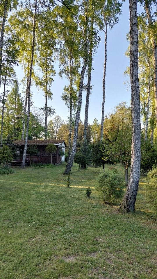 Działka budowlana Sokolniki-Las. Zdjęcie 2