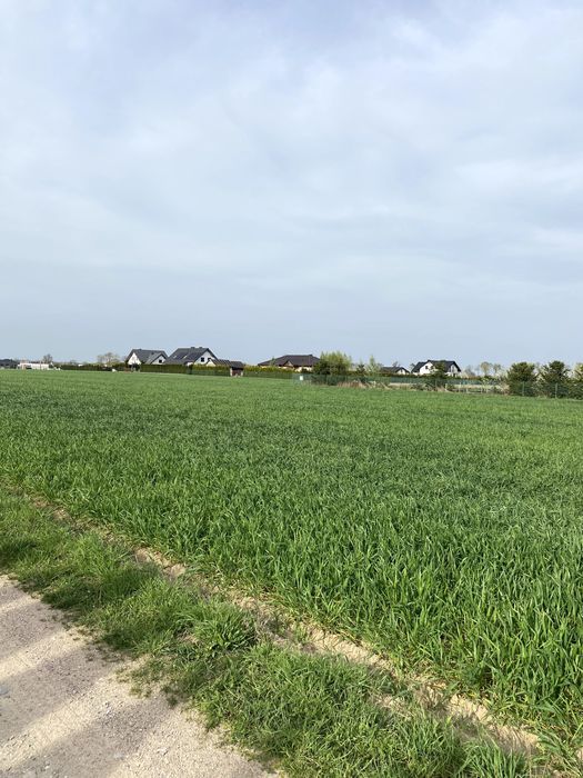 Działka budowlana Skarszewo. Zdjęcie 4