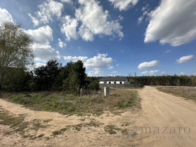 Działka rolna Lisi Ogon. Zdjęcie 5