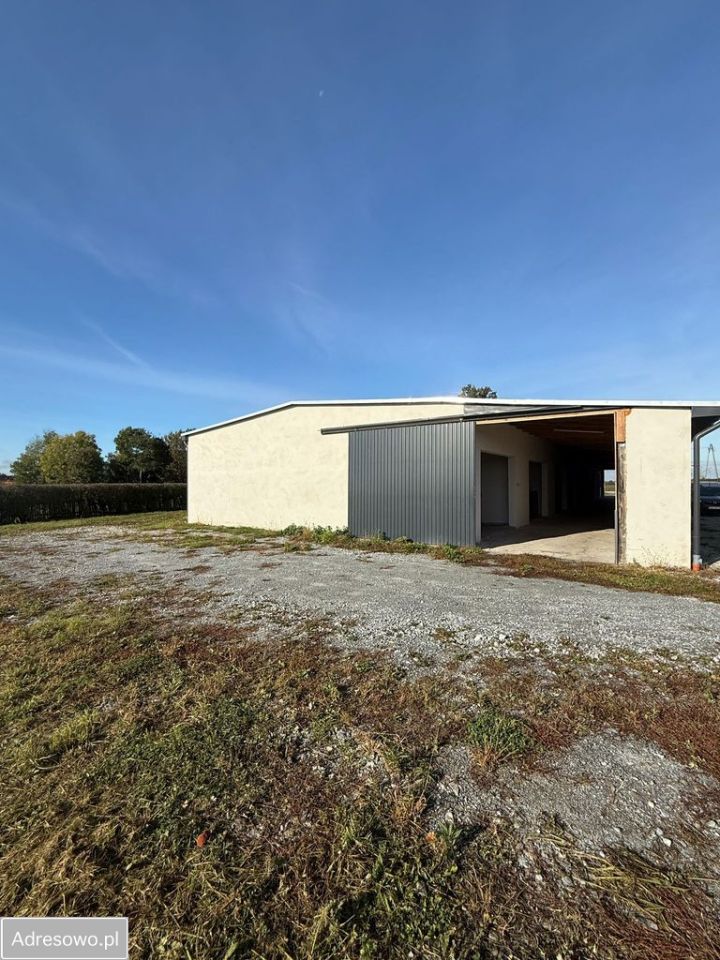 Hala/magazyn Pielgrzymowice. Zdjęcie 16