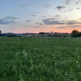 Działka rolna Dziarno. Zdjęcie 3