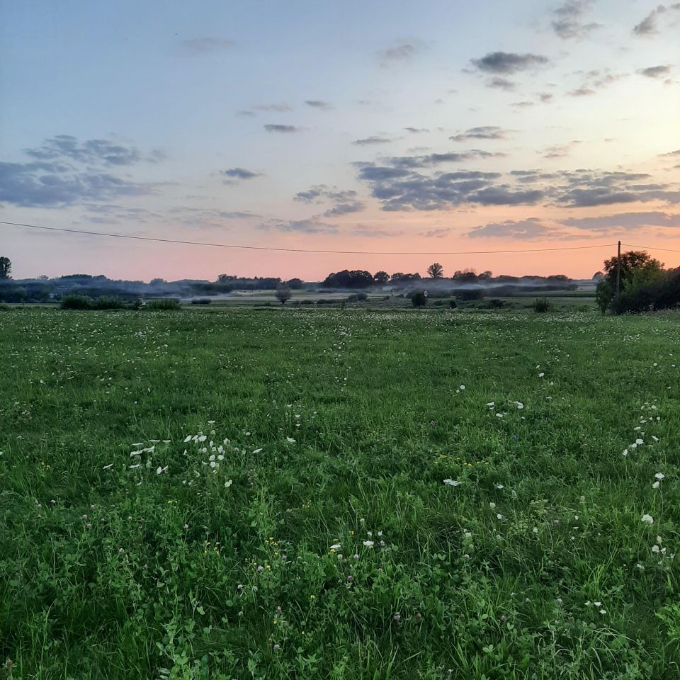 Działka rolna Dziarno. Zdjęcie 4