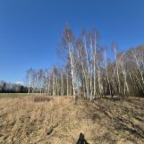 Działka leśna Dębowce. Zdjęcie 3