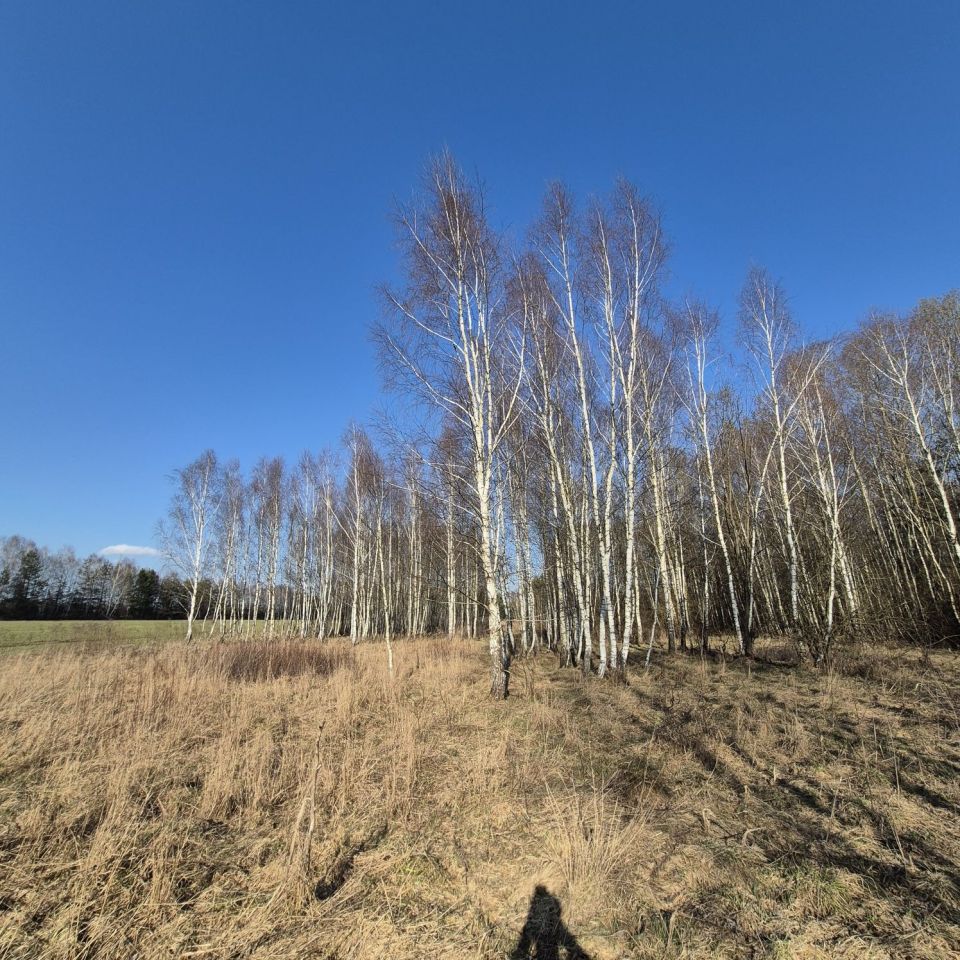 Działka leśna Dębowce. Zdjęcie 4