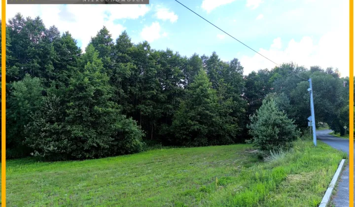 Działka budowlana Bartniczka