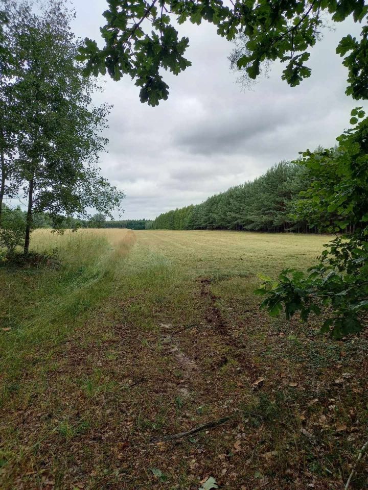 Działka rolno-budowlana Honoratów. Zdjęcie 6