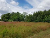 Działka budowlana Paszczyna. Zdjęcie 3