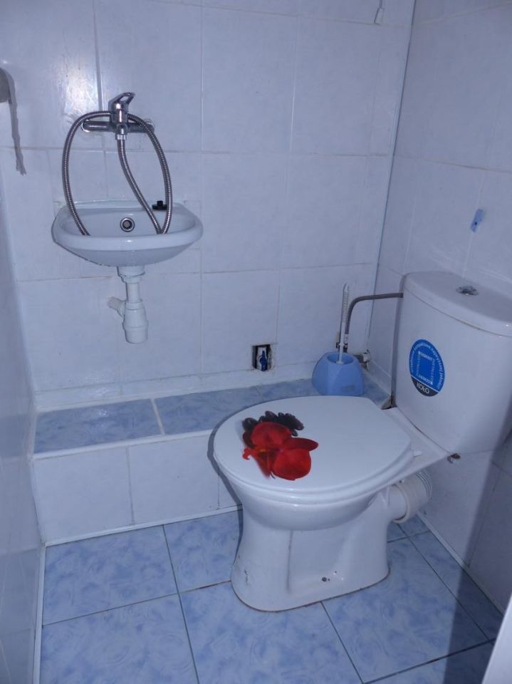 dom wolnostojący, 5 pokoi Budy Michałowskie. Zdjęcie 10