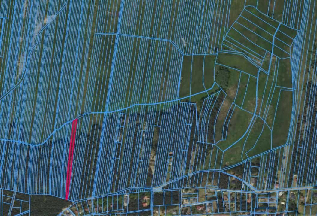 Działka rolna Wysoka Lelowska. Zdjęcie 2