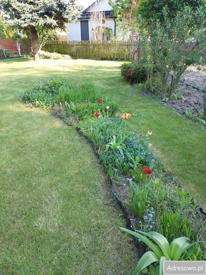 Działka rod Rumin. Zdjęcie 3