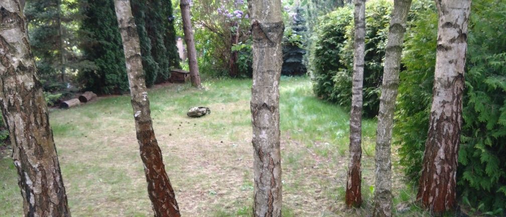 Działka rod Łódź Zdrowie. Zdjęcie 8