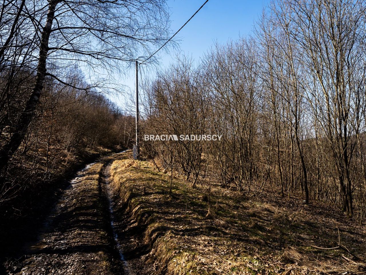 Działka budowlana Stróża. Zdjęcie 15