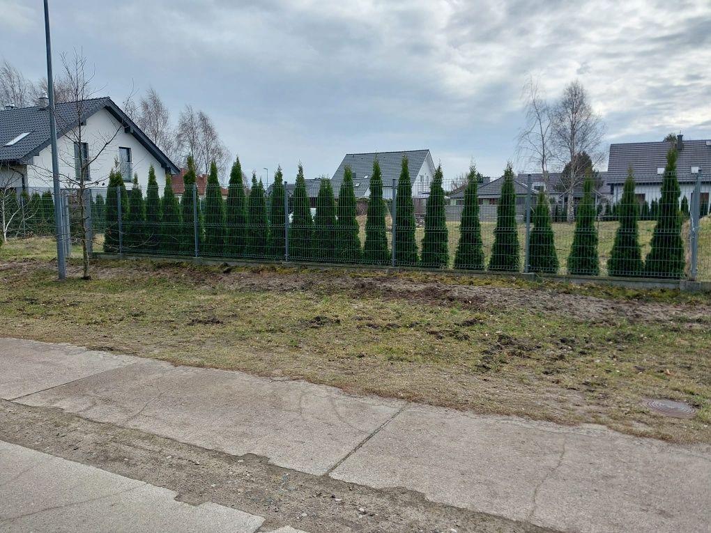 Działka budowlana Grzybowo, ul. Jesienna. Zdjęcie 3