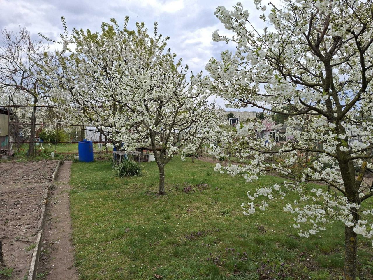 Działka rod Gorzów Wielkopolski Górczyn. Zdjęcie 2