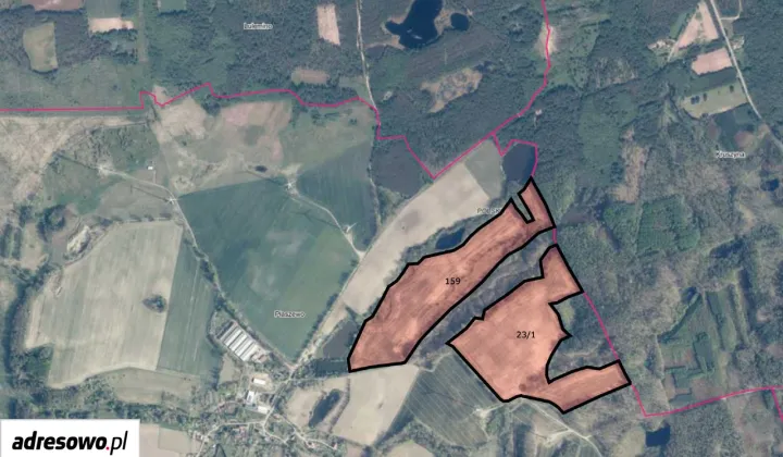 Działka rolna Płaszewo