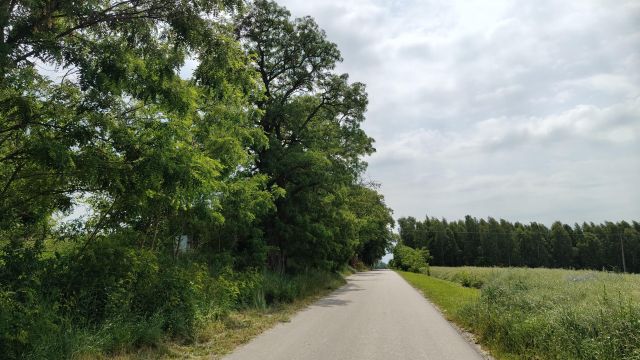 Działka budowlana Jabłonna Pierwsza. Zdjęcie 1