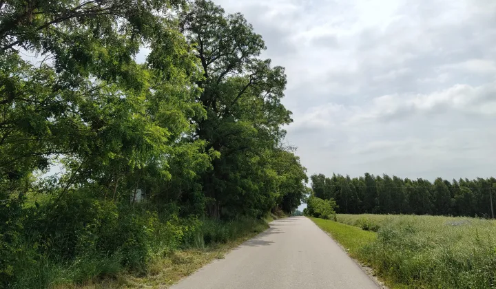 Działka budowlana Jabłonna Pierwsza