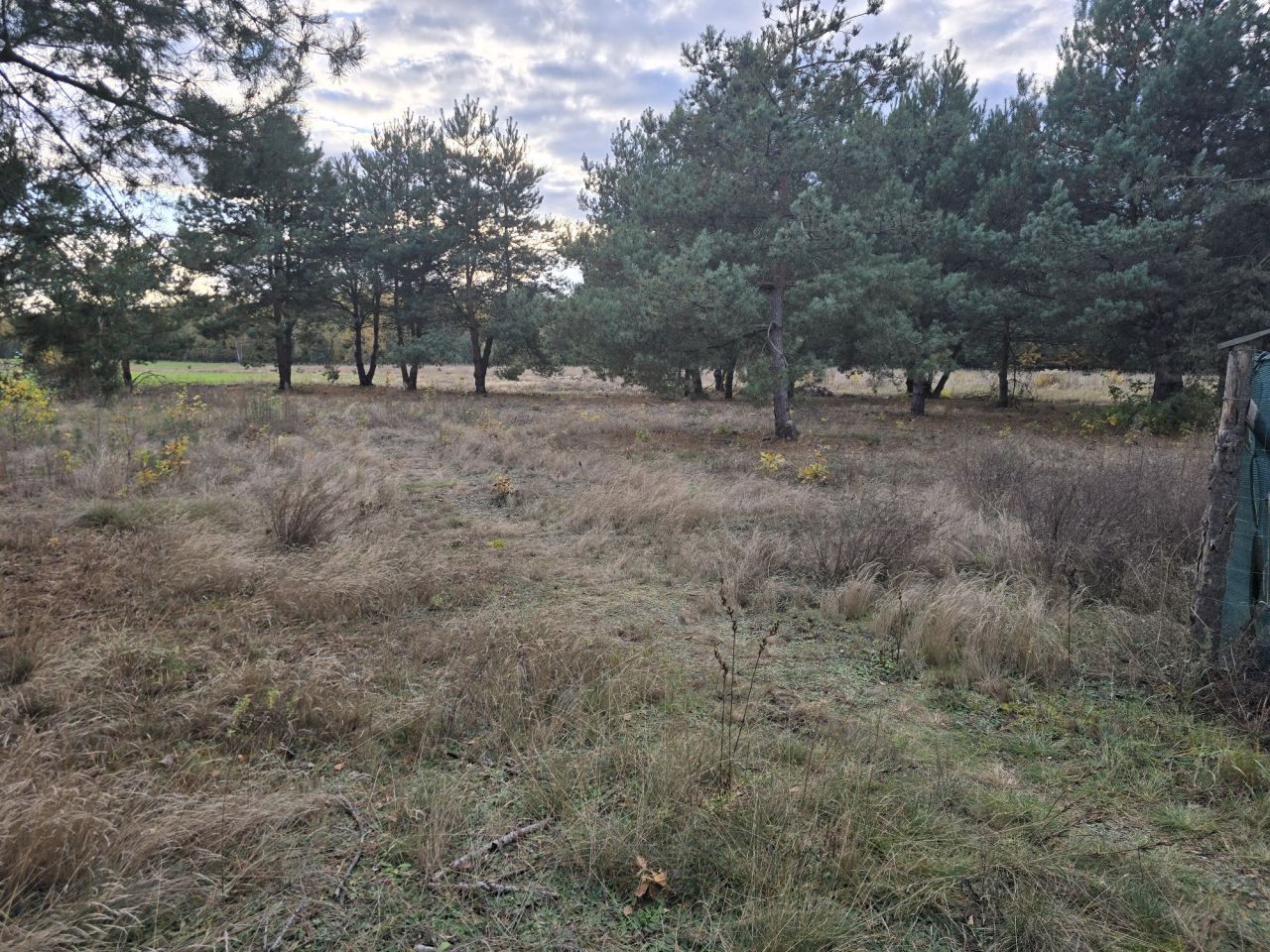 Działka budowlana Zabłocie. Zdjęcie 7