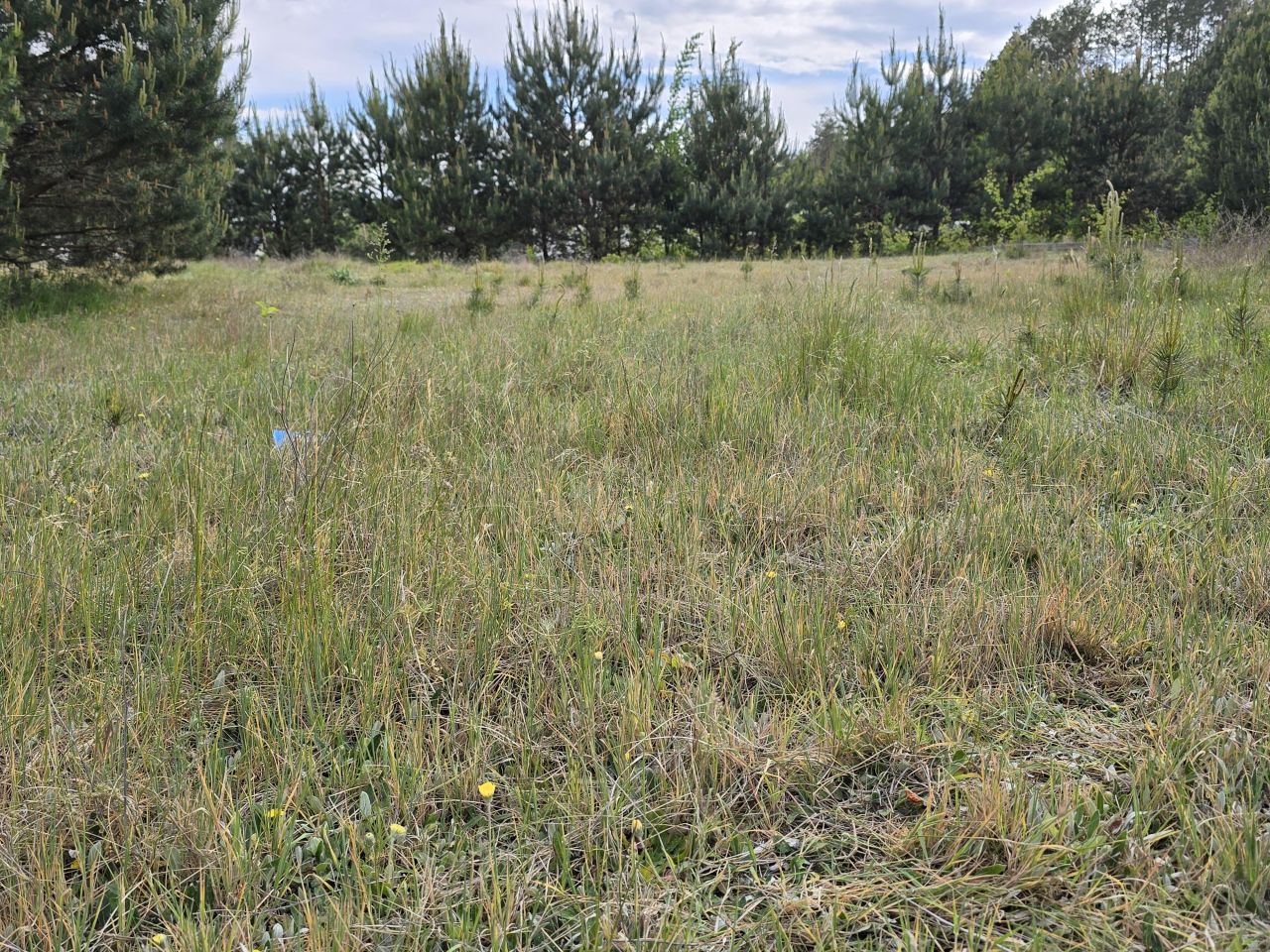 Działka budowlana Brzozowe Błota. Zdjęcie 8