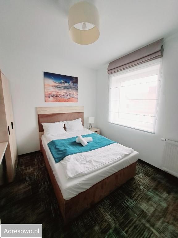 Lokal Grzybowo. Zdjęcie 8